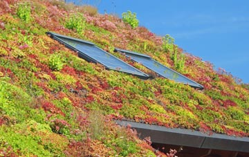 Sinderhope living roof systems